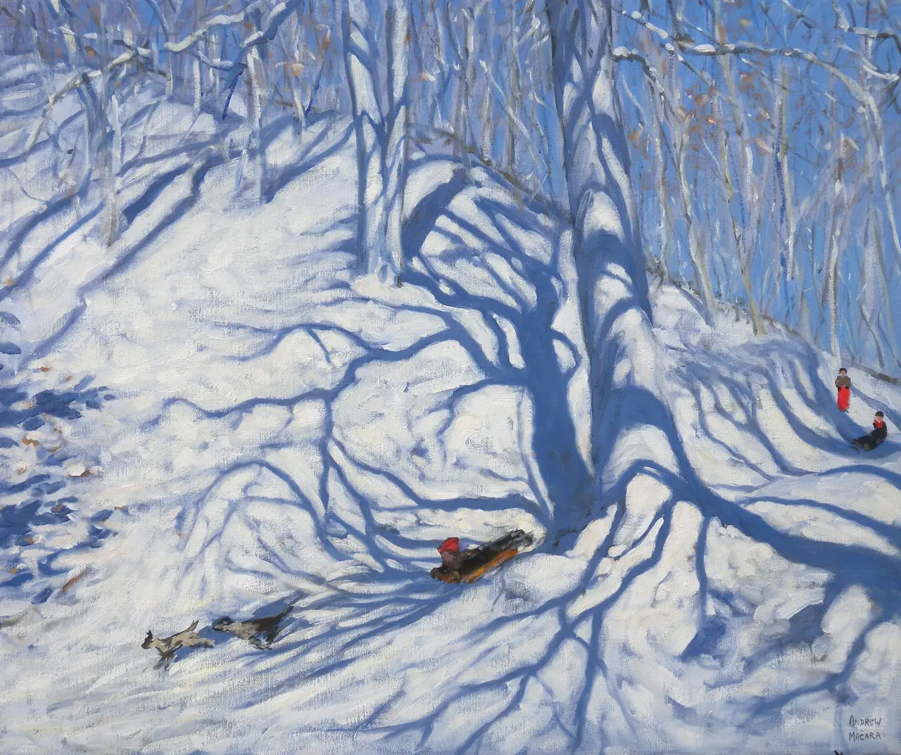 Andrew Macara - dogs racing, courchevel